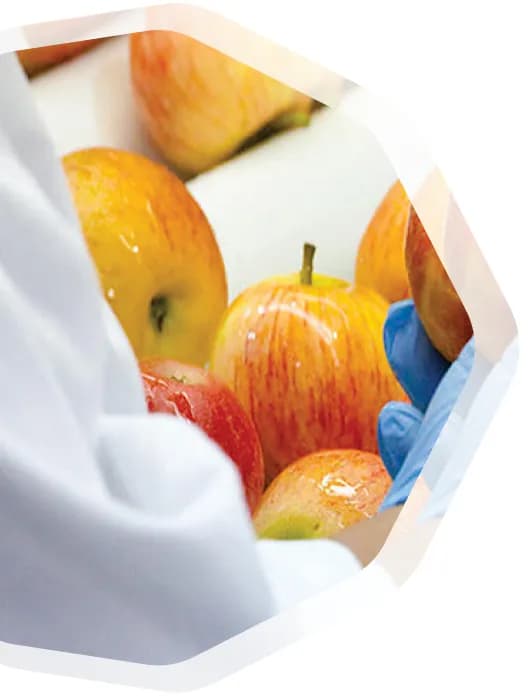 تصویر اهداف روماک