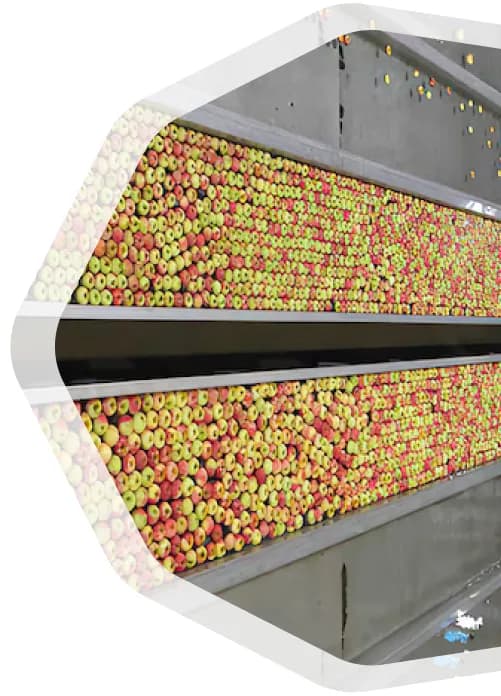 تصویر خط مشی روماک