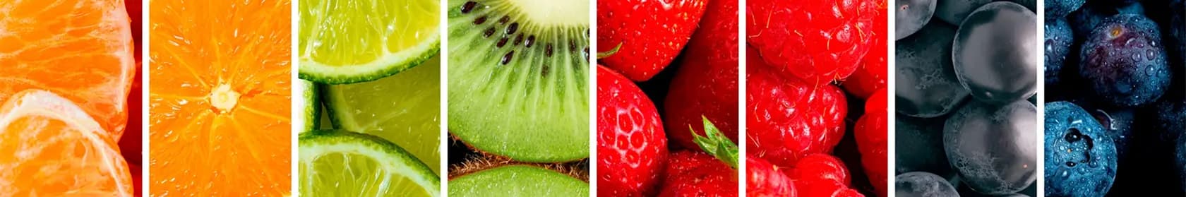 مجموعه محصولات کشاورزی و پروتئینی روماک