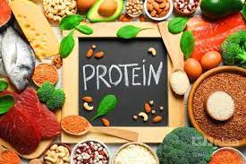 منابع پروتئینی | فواید پروتئین | protein