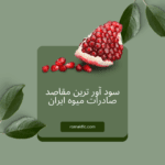 صادرات میوه ایران